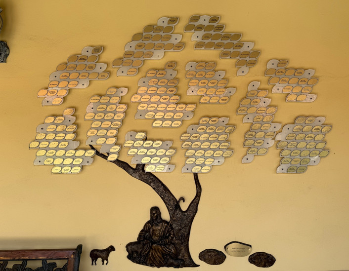 treeoflife2026